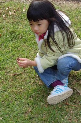 img_1212053546_6