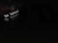 img_1212053393_929