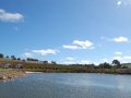 img_1212053821_462