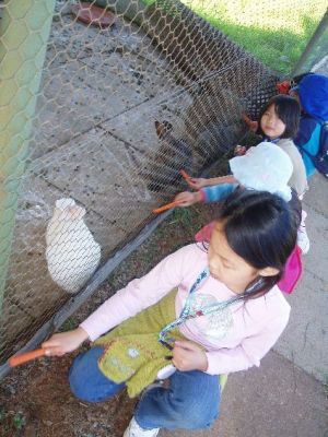 img_1212055267_535